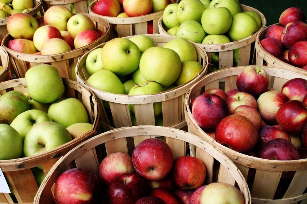 Good Sense of Trade exports best apple